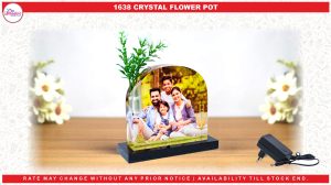 1638 LED CRYSTAL FLOWER FRAME