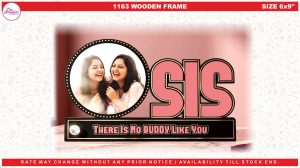 1163 SIS FRAME